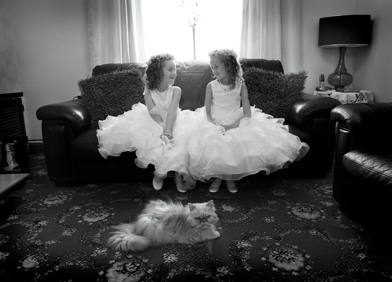 South-wales-wedding-photographer-pre-wedding-preparations-Bridesmaids-cross-cat